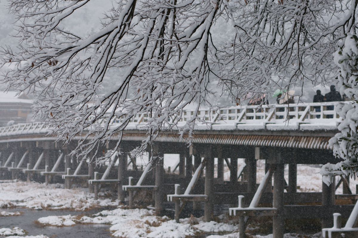 雪の嵐山 渡月橋 街並み 建物 その他 Ganref