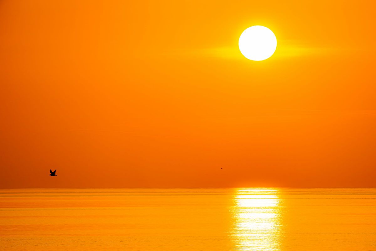 sunset | GANREF