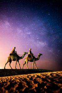 アラビアンナイト♪ Arabian Night Sinbad No Bouken Collector`s Dvd | HMV&BOOKS
