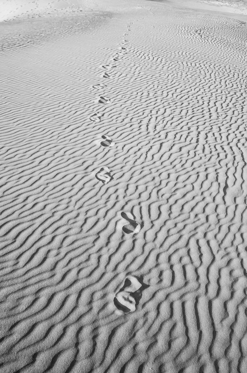 思えば遠くへ来たもんだ 自然 風景 大地 Ganref