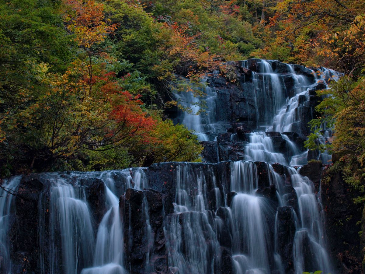 E-510で撮影された写真 | 写真検索 | GANREF