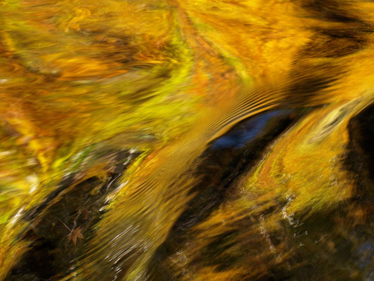 E-510で撮影された写真 | 写真検索 | GANREF