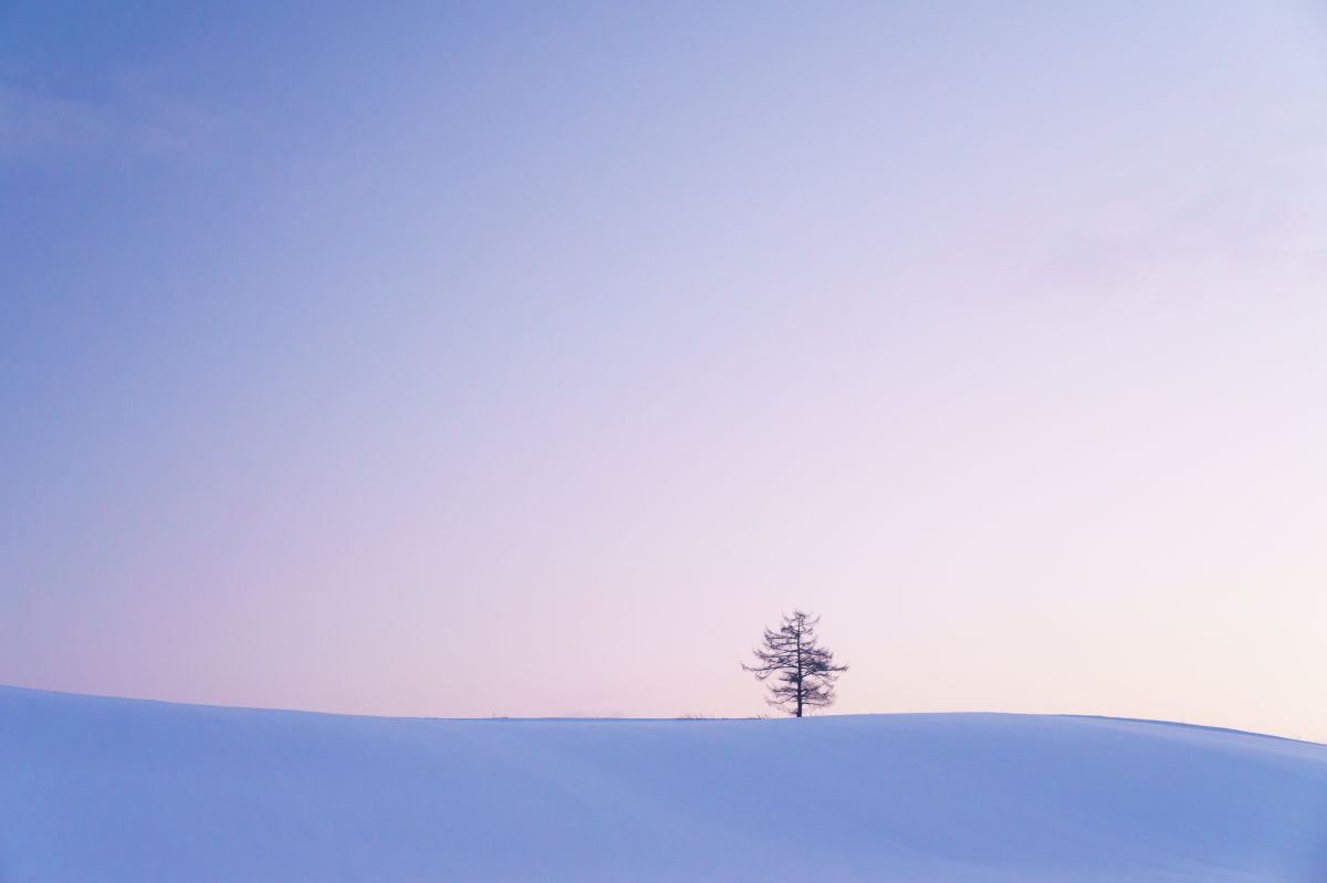 菫色の朝 自然 風景 大地 Ganref