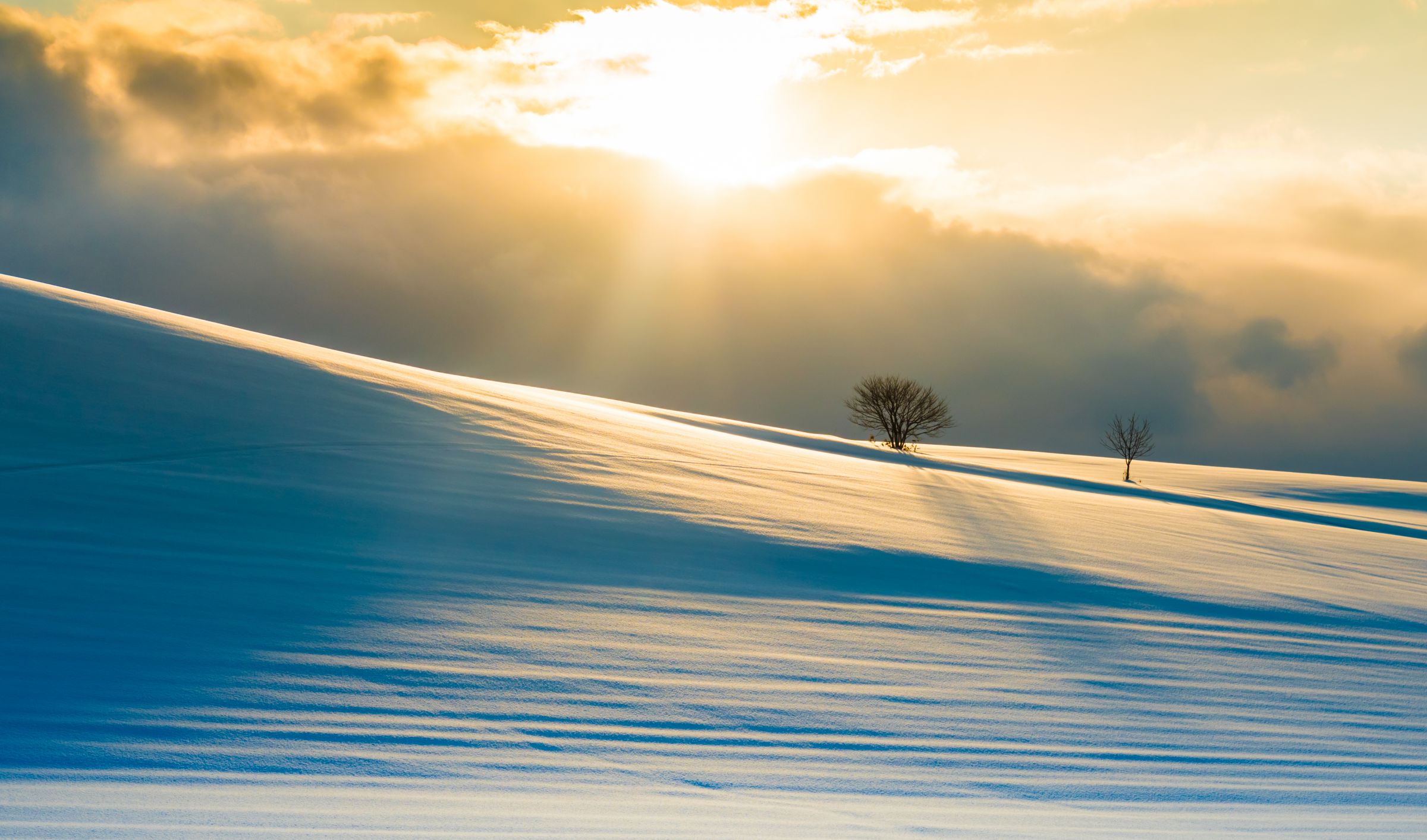 光と影の丘 | GANREF