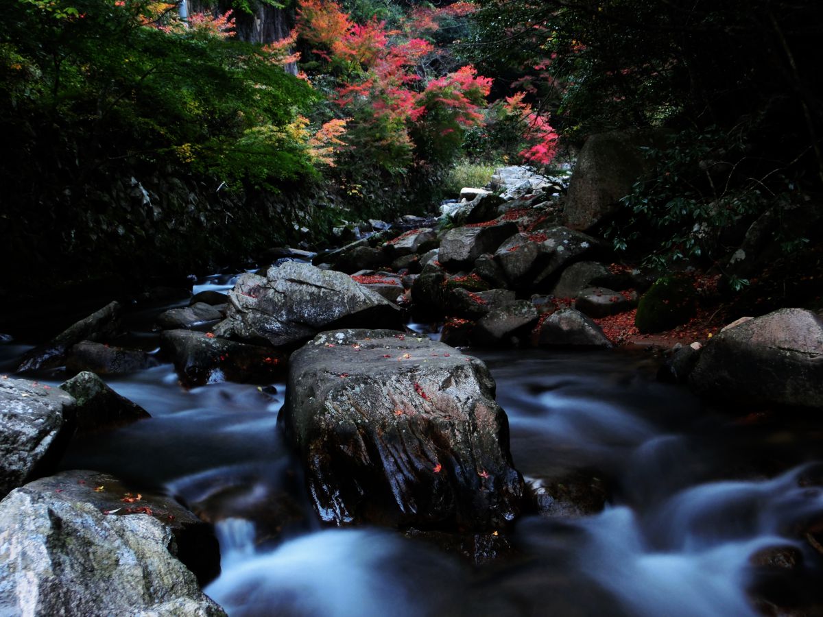 HIGH SPEED EXILIM EX-ZR400で撮影された写真 | 写真検索 | GANREF