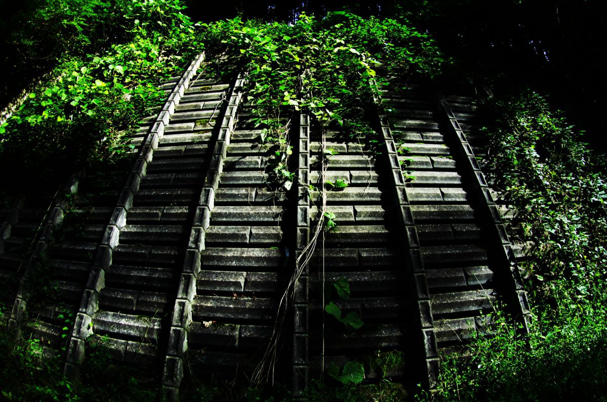 CONCRETE JUNGLE GANREF