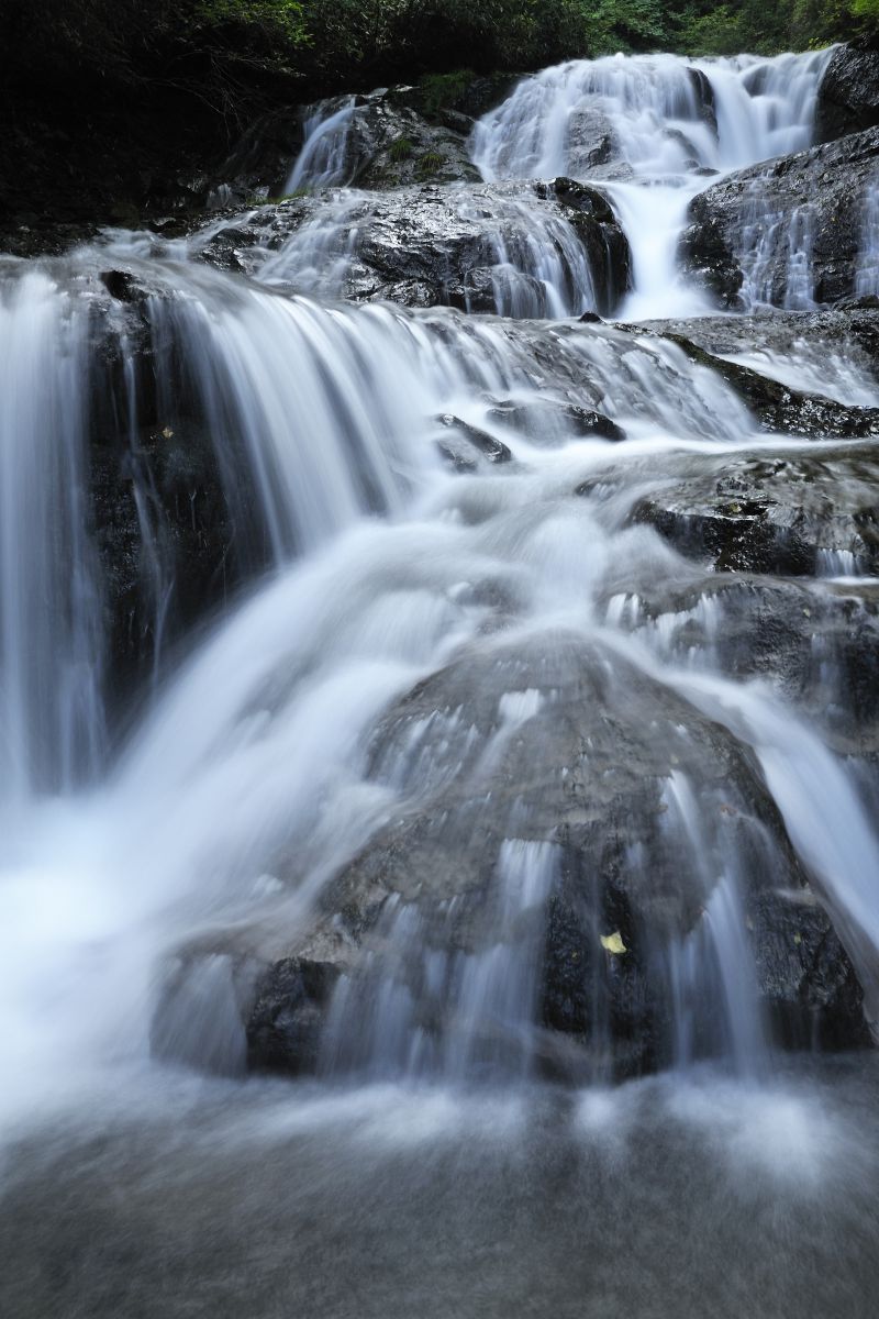 ニコンFXレビュー ： D700で，初めて「三脚＋ライブビュー撮影」を