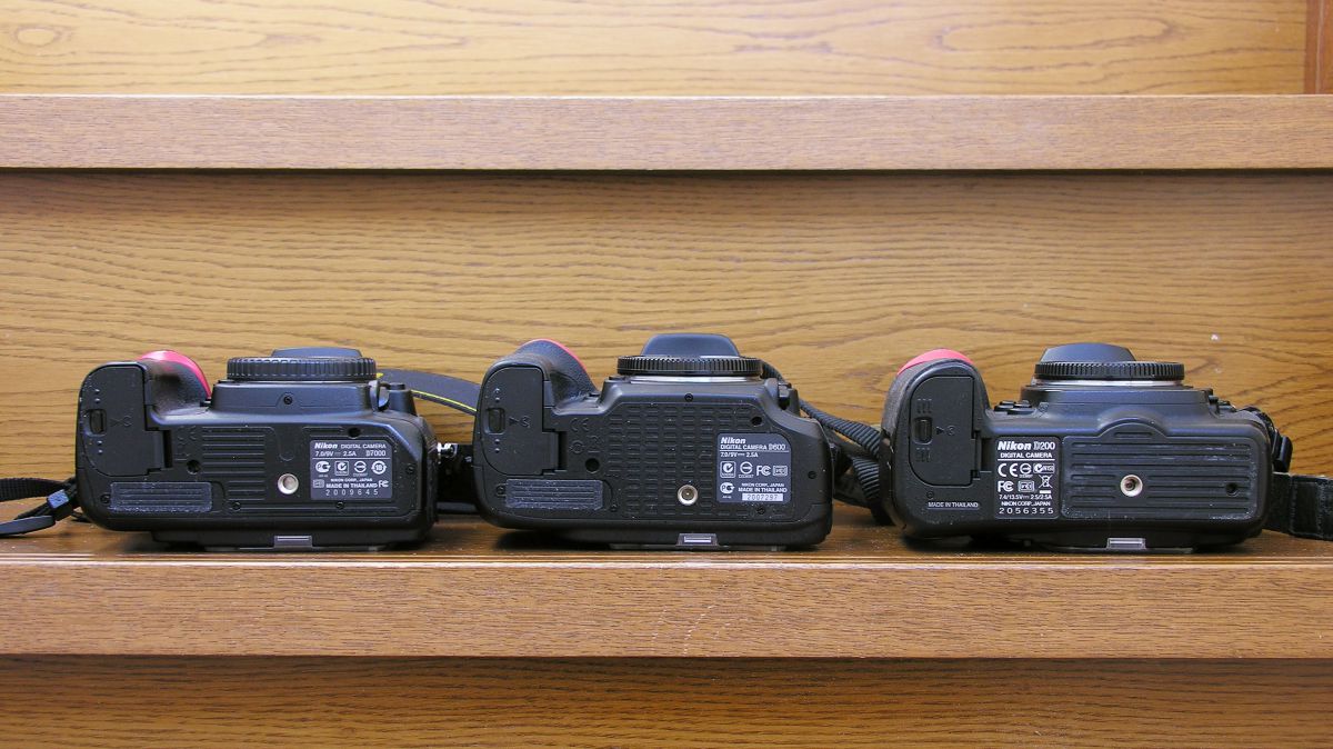 D600レビュー］ (1) フルサイズ機への移行を考えつつ | GANREF