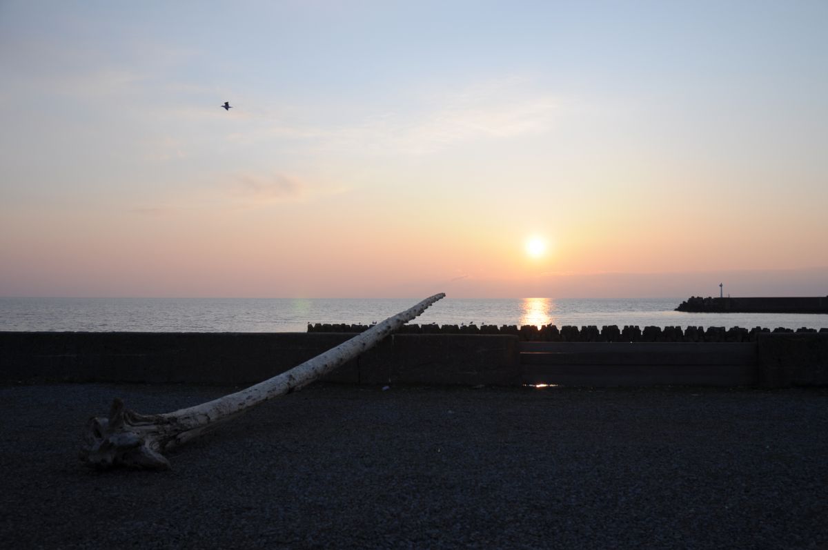 寂しい夕日 自然 風景 海 Ganref