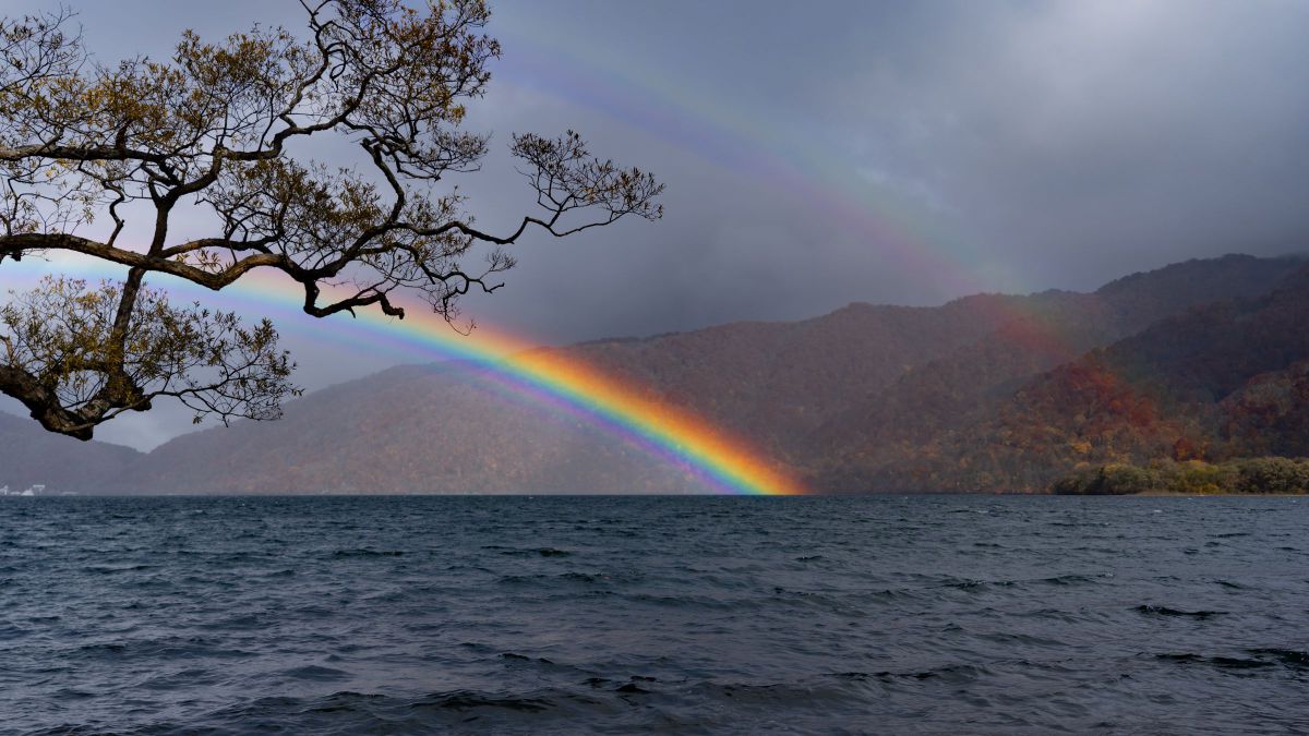 希望のはじまり GANREF