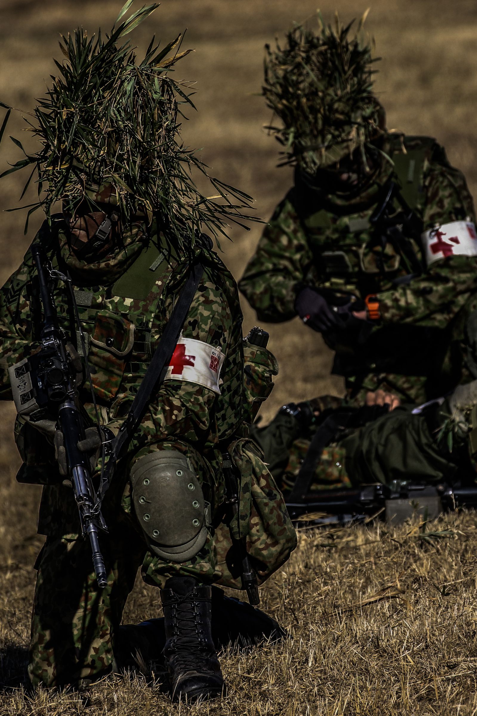 平成28年 陸上自衛隊 第1空挺団 降下訓練始め | GANREF