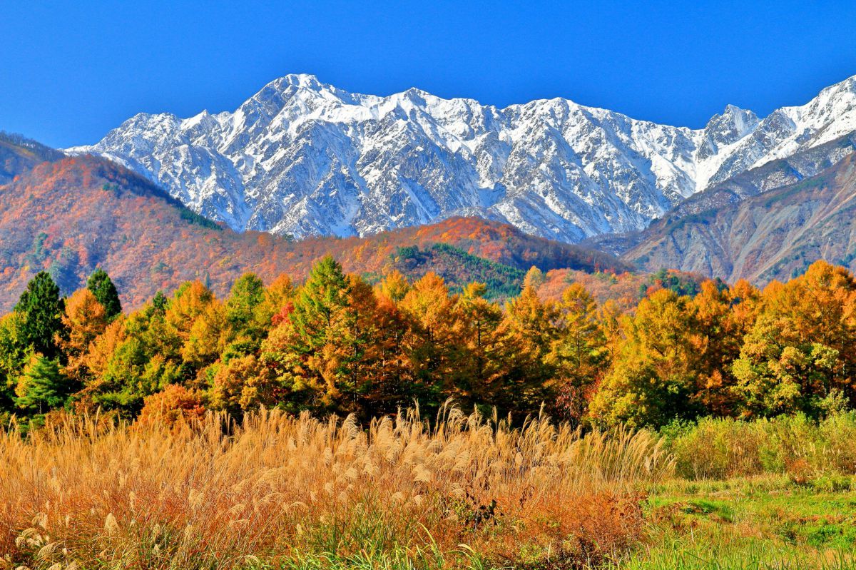 紅葉と新雪の後立山連峰の眺望 Ganref