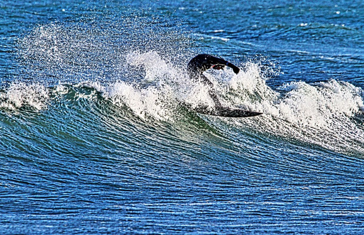 波飛沫を飛ばして GANREF