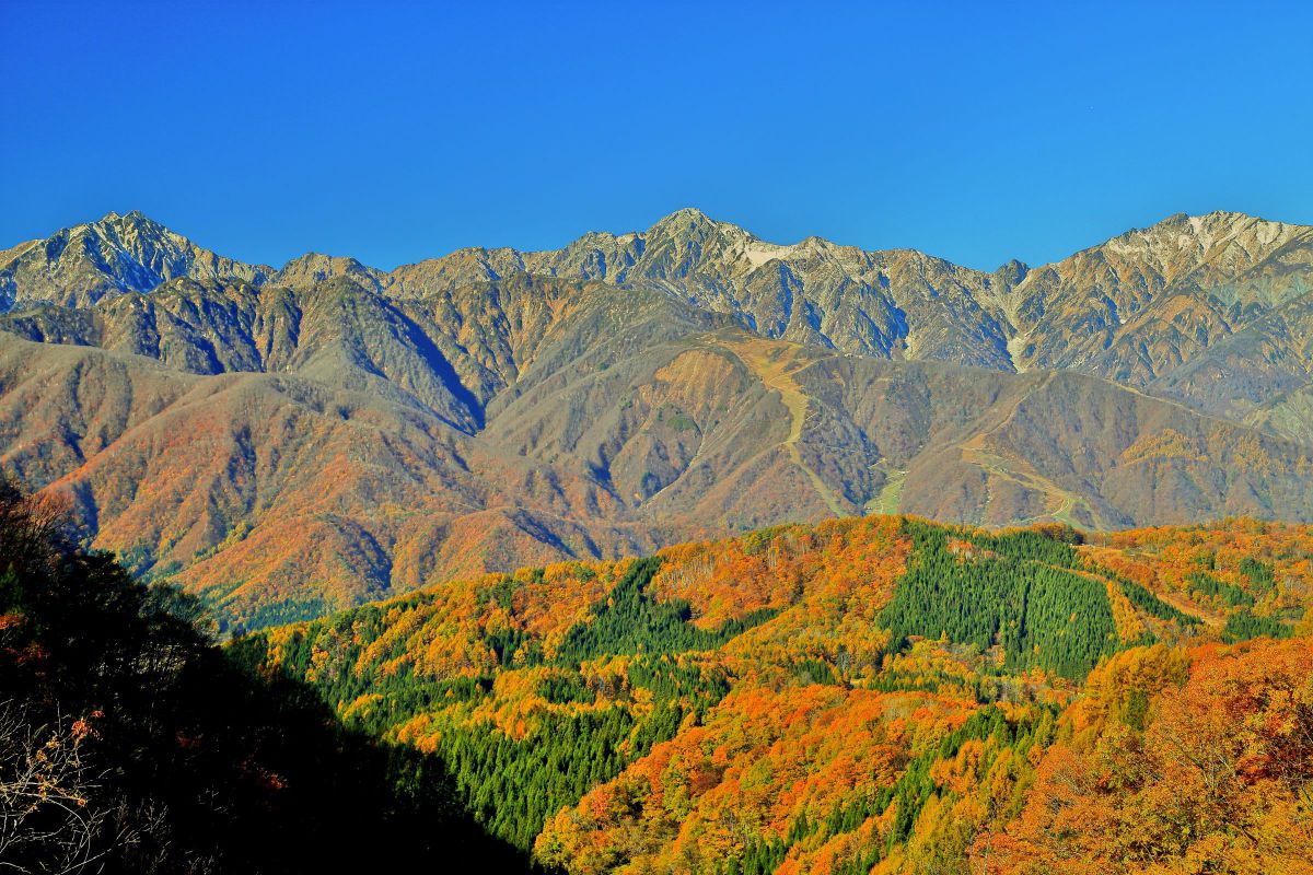 紅葉と新雪の後立山連峰の眺望 Ganref