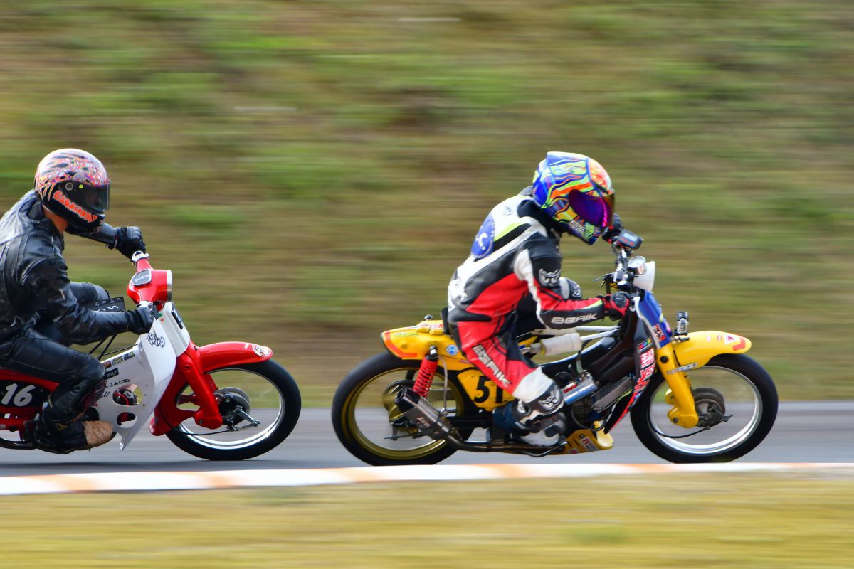 デッドヒート GANREF