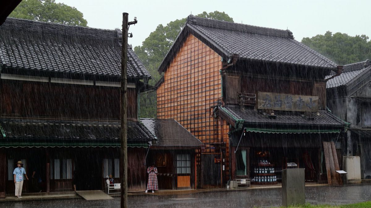 雨宿り | GANREF