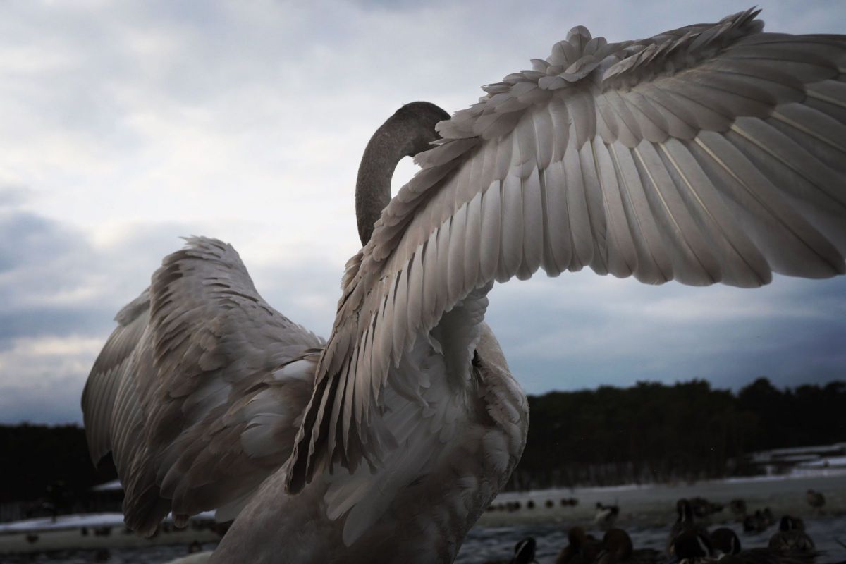 NIKKOR Z 28mm f/2.8で撮影された写真 | 写真検索 | GANREF