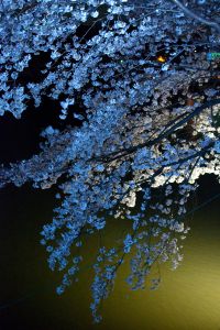 虹色の眺望　日本語版 ３枚セット 虹色 | GANREF