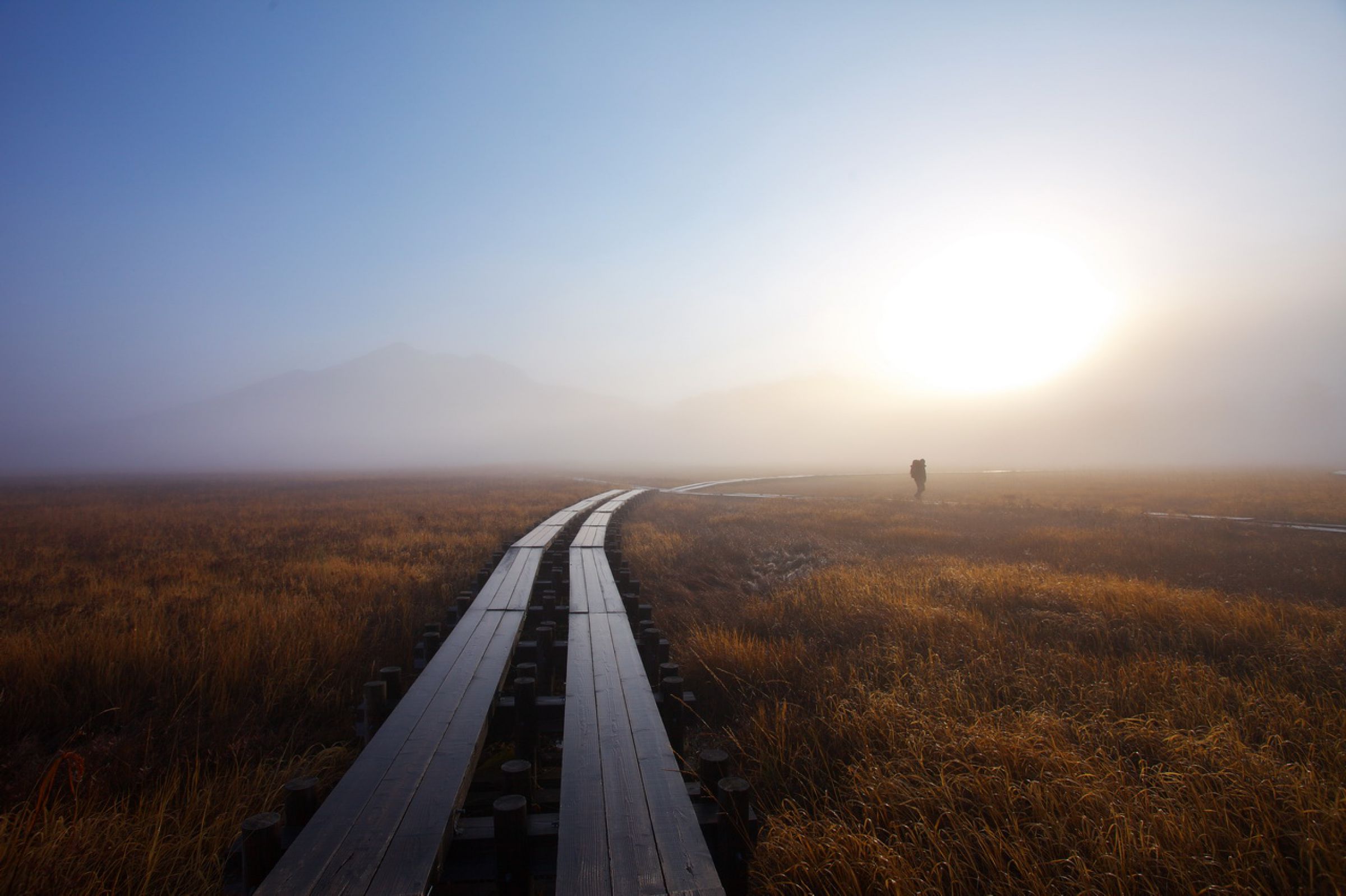 朝霧の尾瀬ヶ原 | GANREF 「朝霧（尾瀬ヶ原）」F15 1985 油絵 油彩画