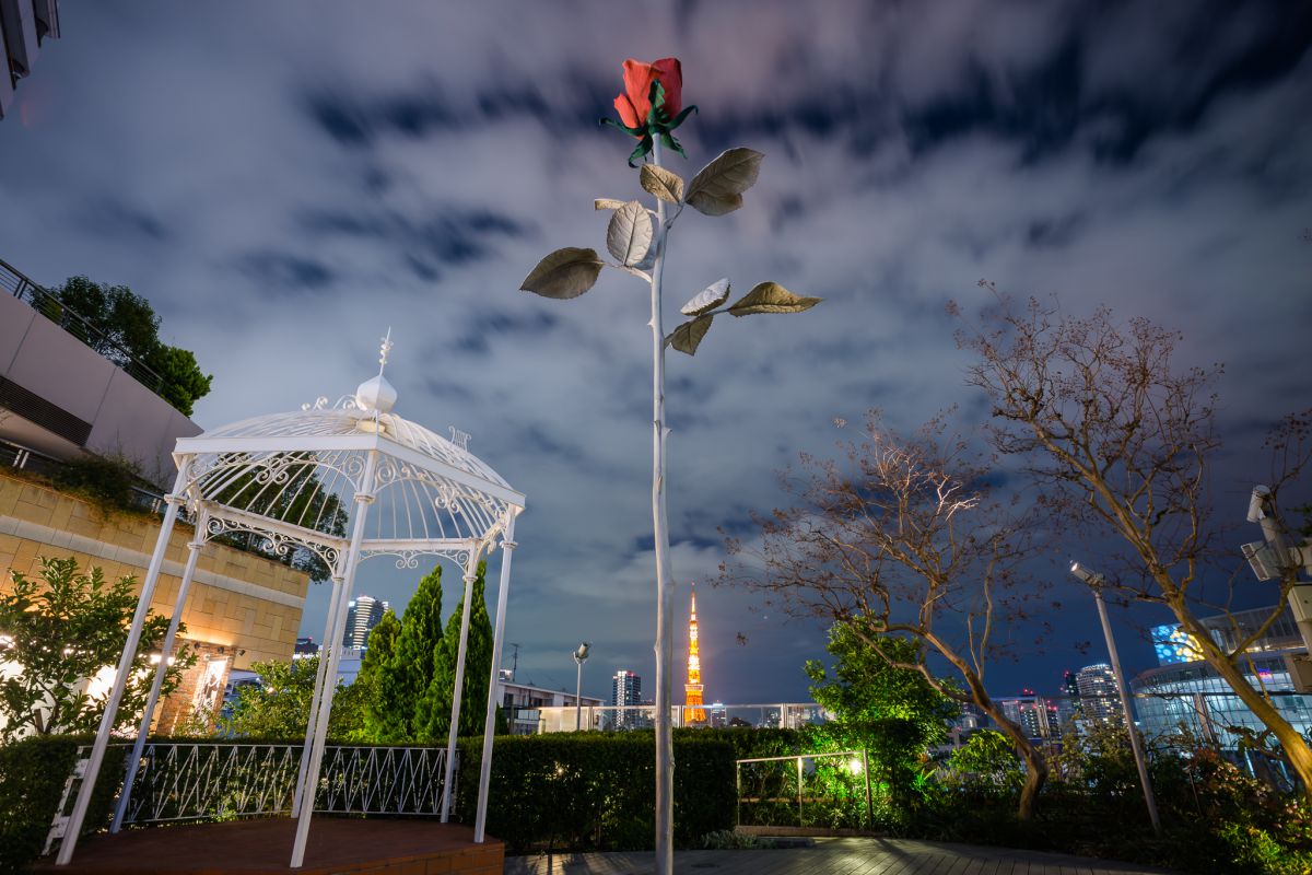 Ai Nikkor 18mm F3.5Sで撮影された写真 | 写真検索 | GANREF