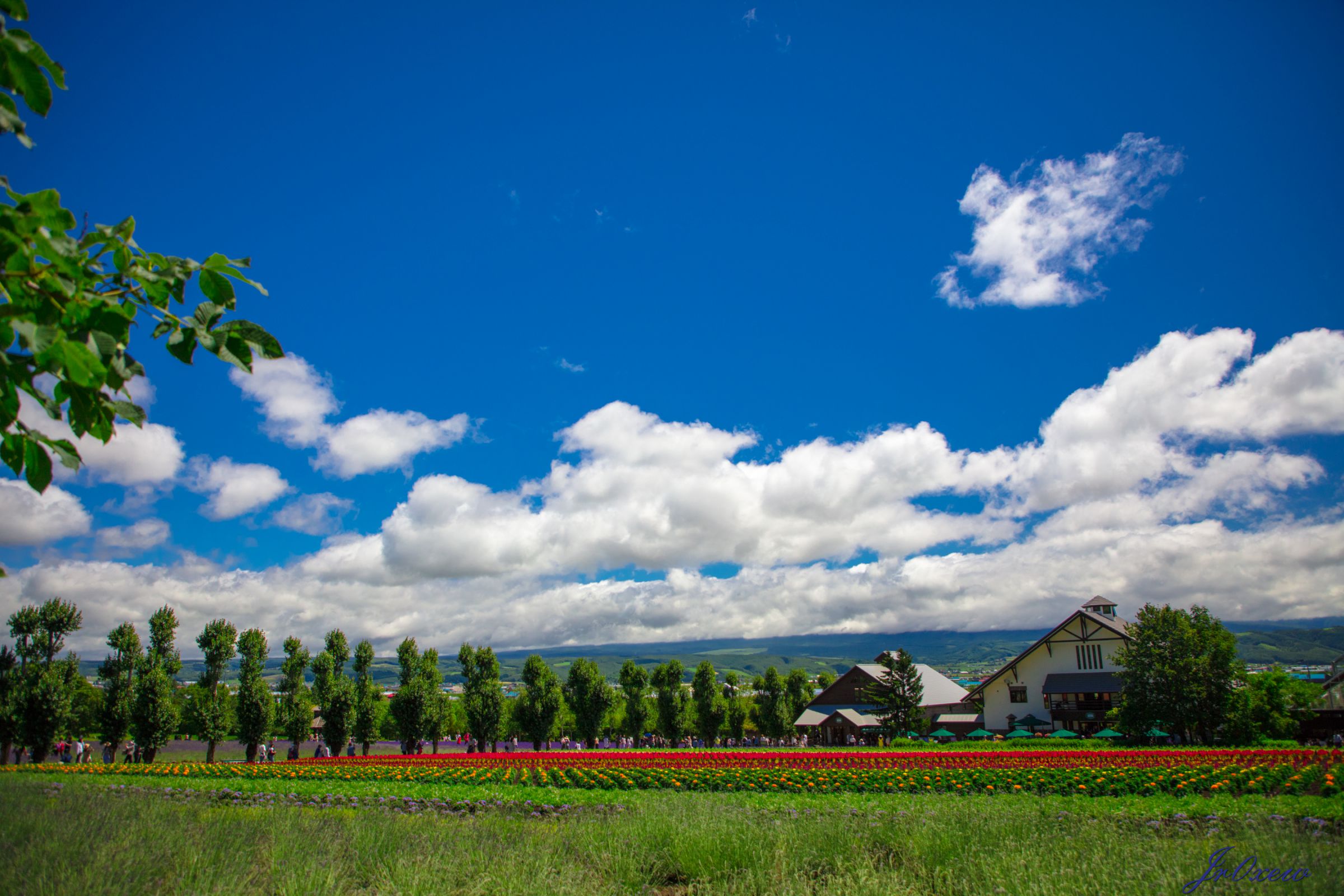 【オーダー用】北海道の風景写真 JG 4K 北海道 知られざる自然の宝庫 落石岬 Cape Ochiishi