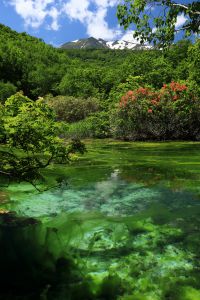 竜神沼　模写 PLAMAX MS-23 幻神丸