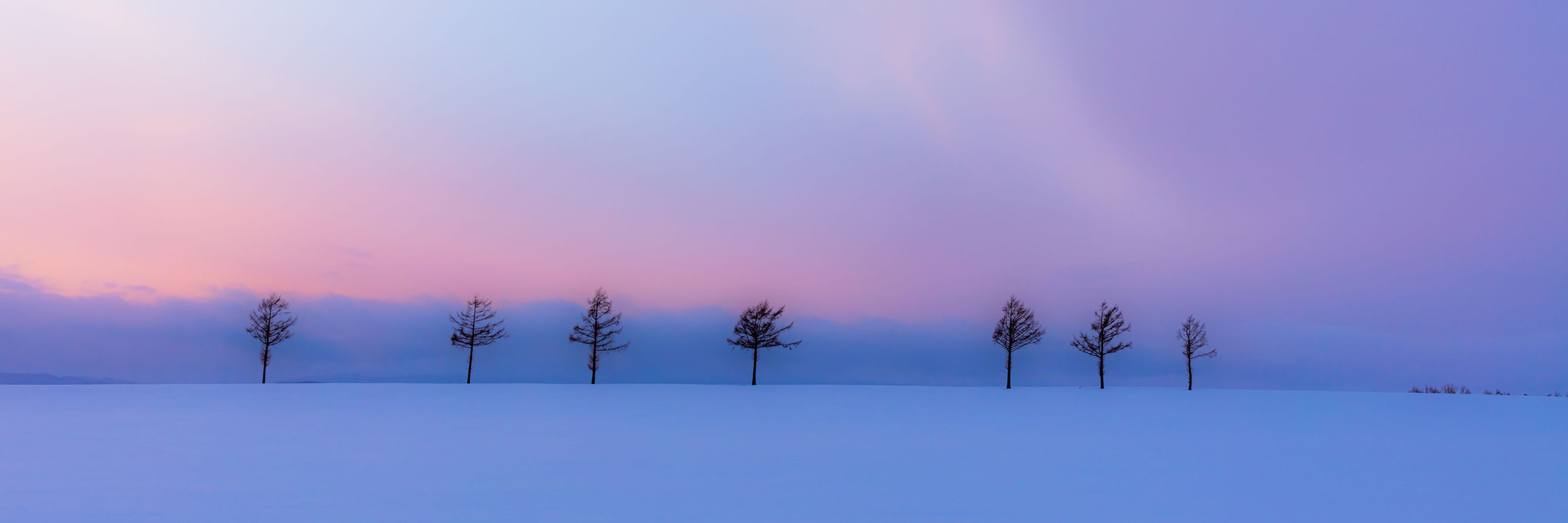 メルヘンの丘トワイライト Ganref