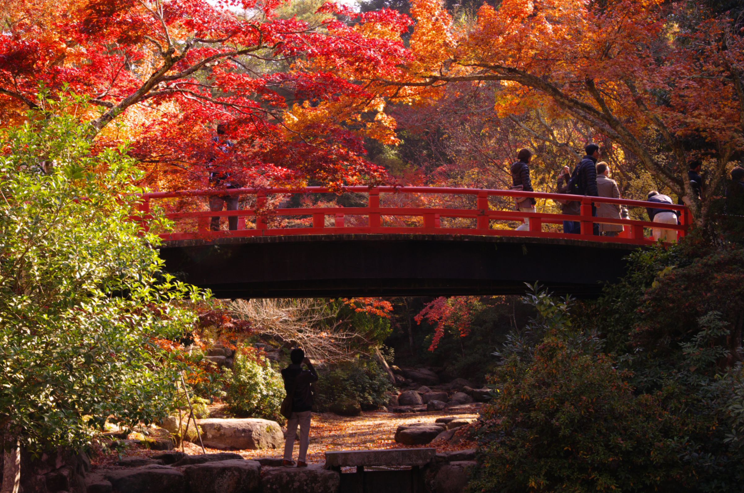 宮島 紅葉谷公園 | GANREF