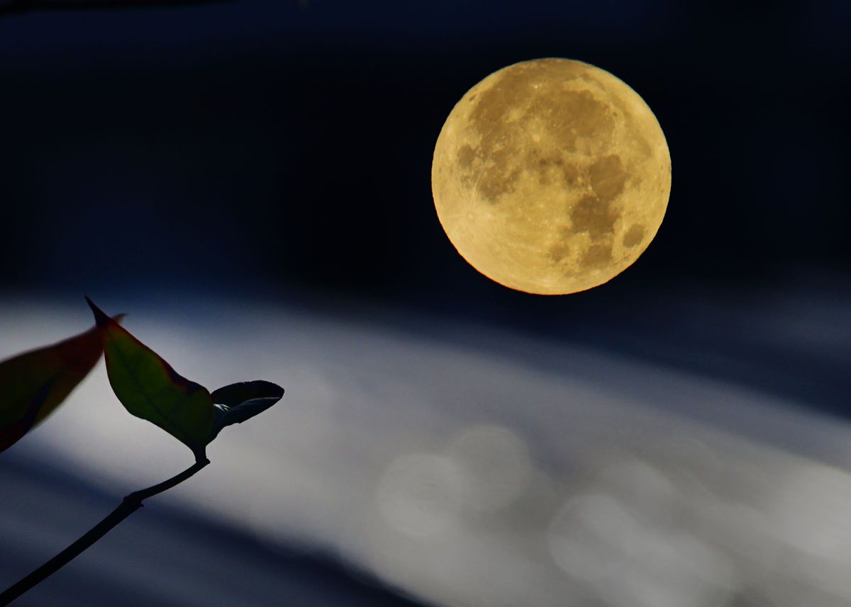 a full moon night | GANREF