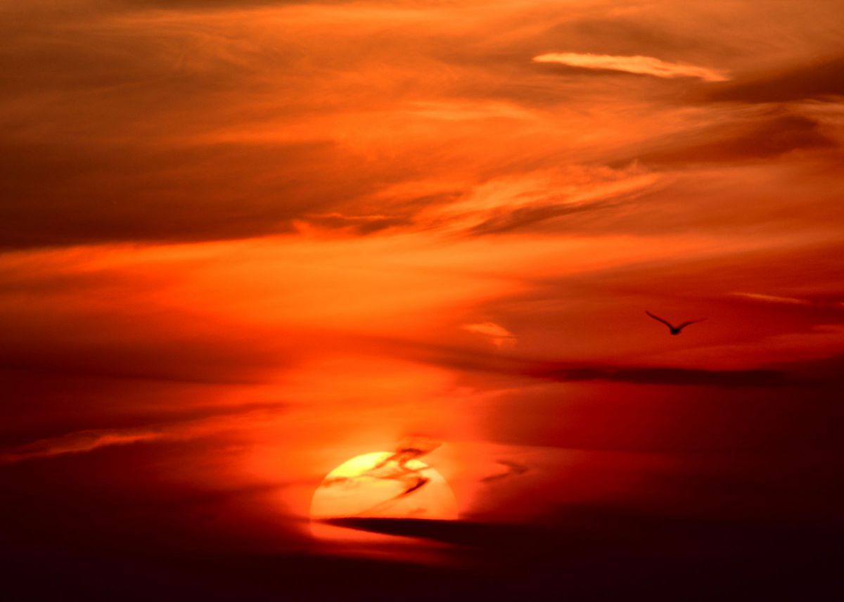a fiery sunset | GANREF