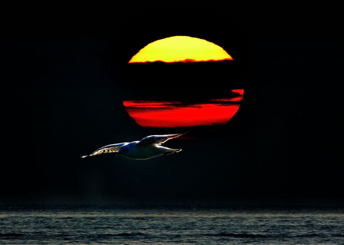 at sunset | GANREF