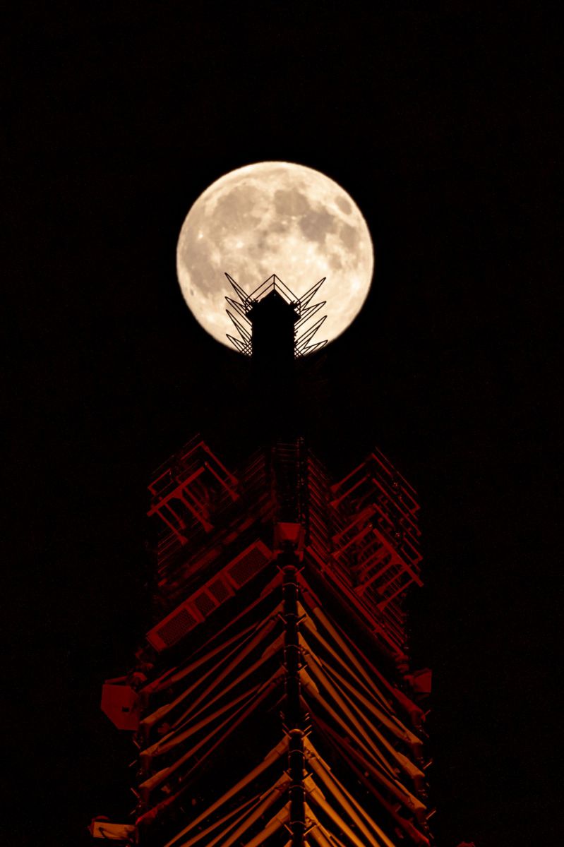 top of tower | GANREF