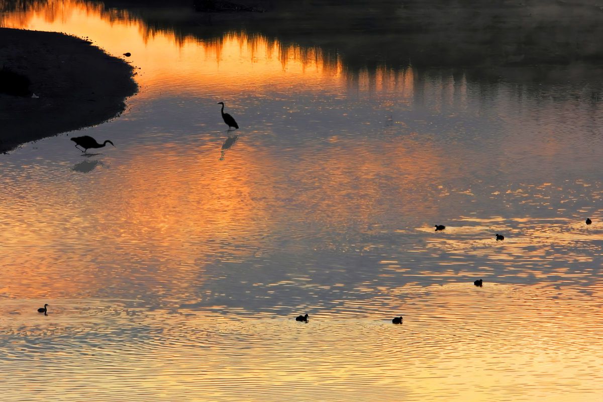 COOLPIX P1000で撮影された写真 | 写真検索 | GANREF