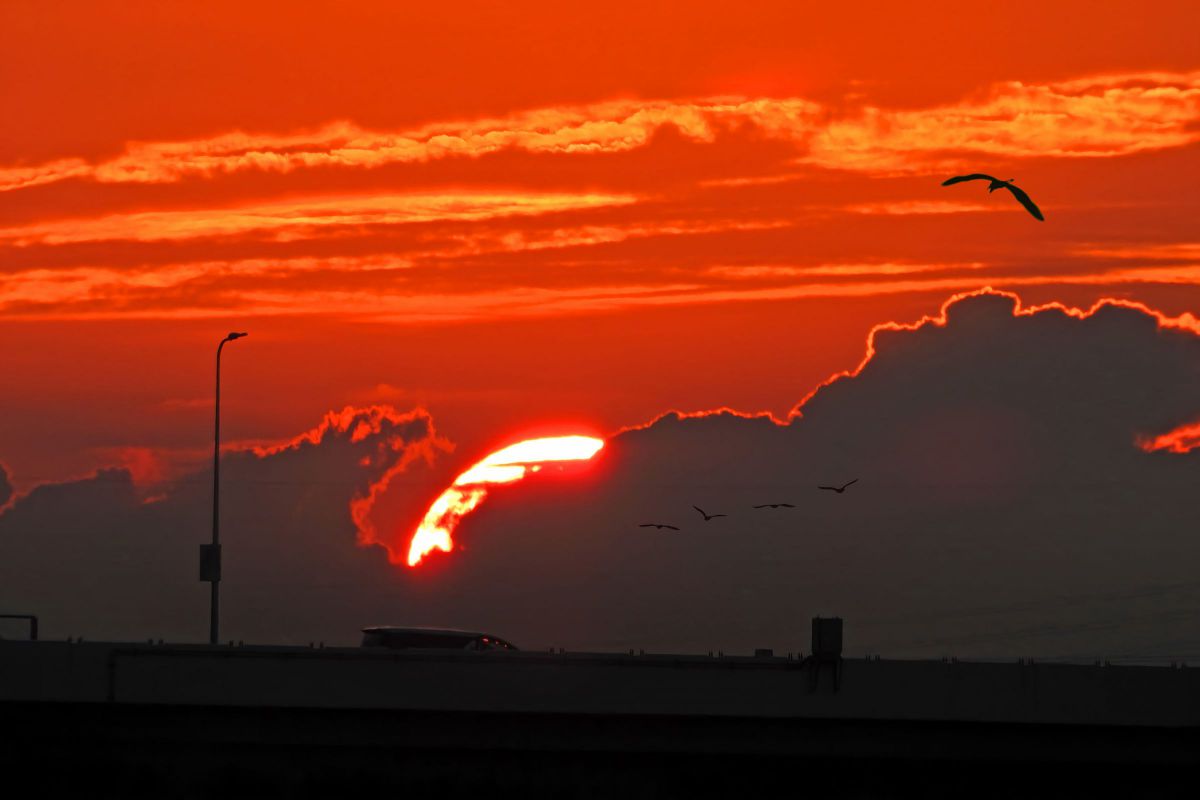 COOLPIX P1000で撮影された写真 | 写真検索 | GANREF