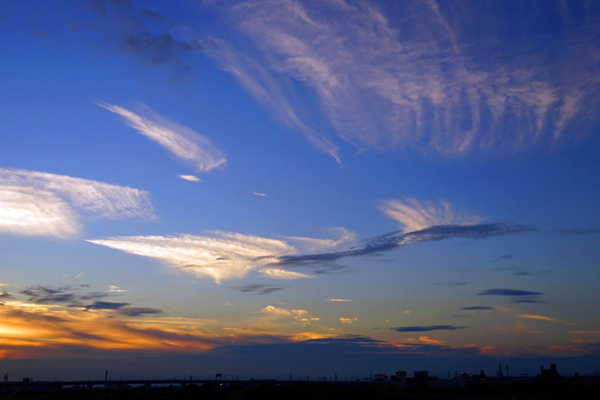 賑やかな夕空 | GANREF