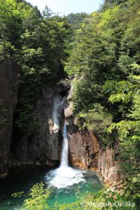 絶版　美しきアルジェリア　７つの世界遺産を巡る旅　地球の歩き方　大塚雅貴　帯付き 美しきアルジェリア 7つの世界遺産を巡る旅 (地球の歩き方 GEM