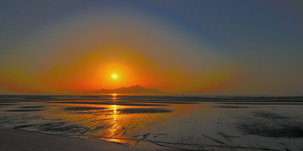 木炭デッサン風に仕上げてみた桜の花 植物 花 花びら Ganref