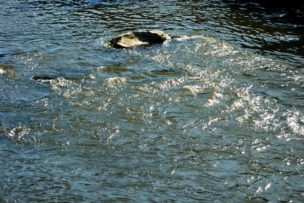 流れの表情 自然 風景 河川 Ganref