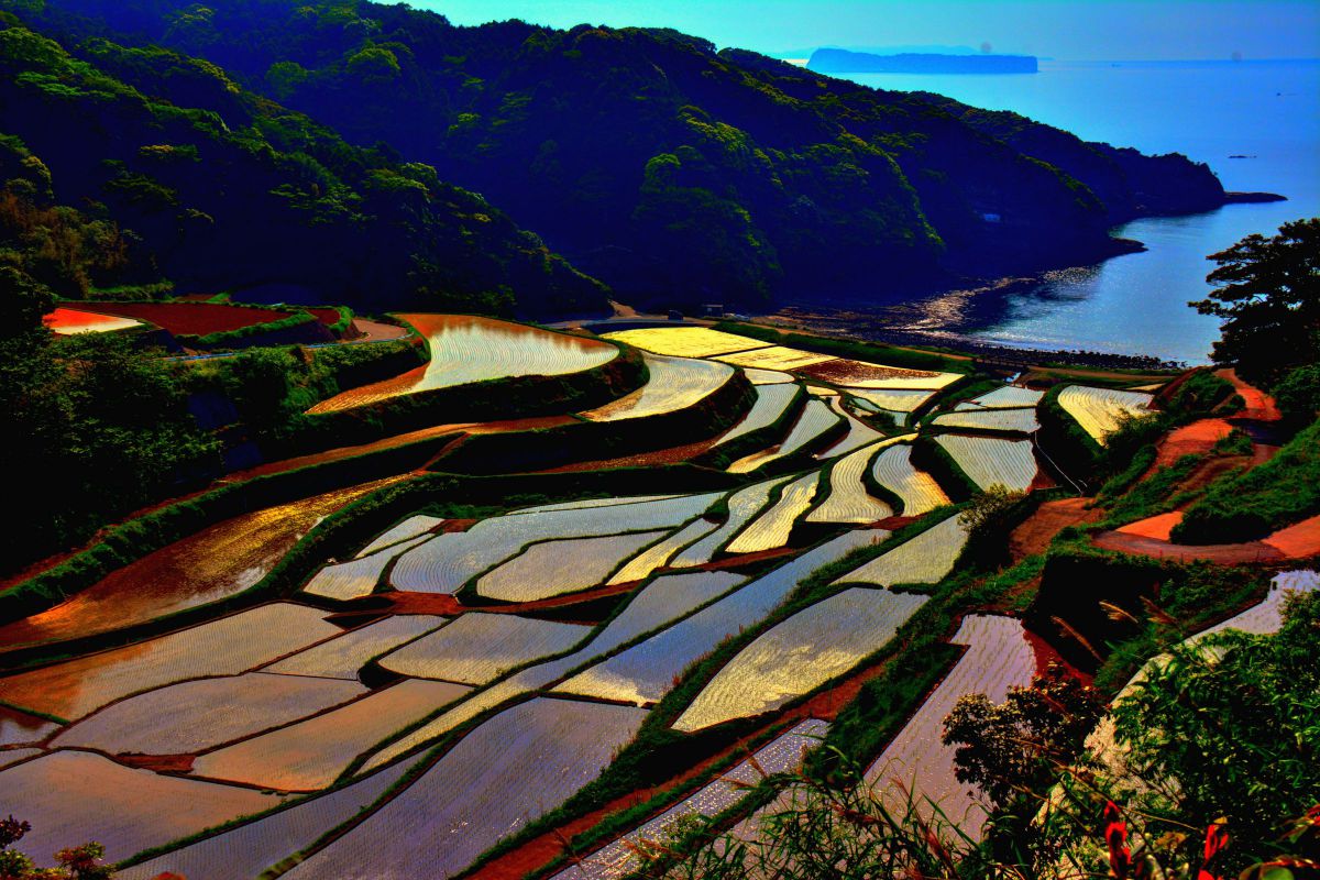 AF-S DX VR Zoom-Nikkor 18-200mm f/3.5-5.6G IF-EDで撮影された写真
