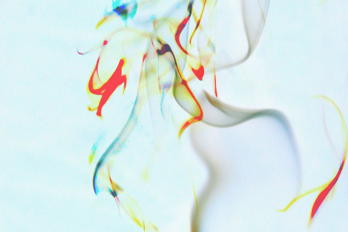 AF-S Micro NIKKOR 60mm f/2.8G EDで撮影された写真 | 写真検索 | GANREF