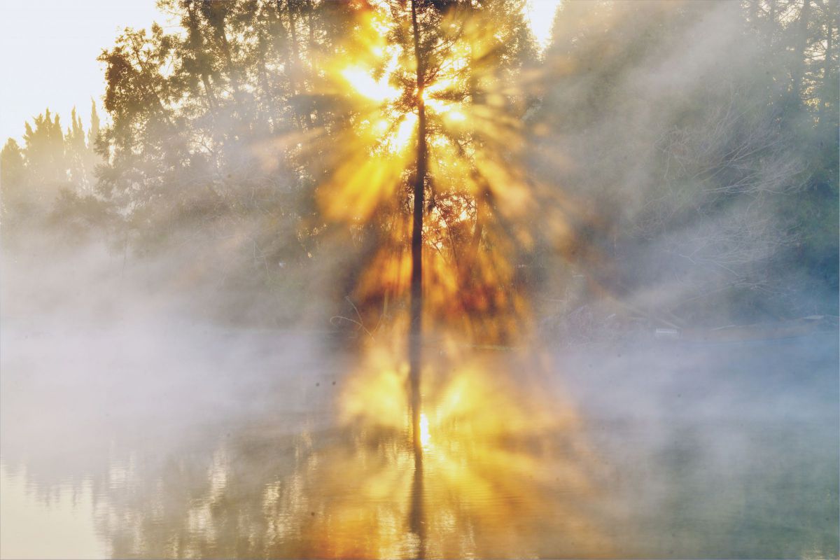 D800Eで撮影された写真 | 写真検索 | GANREF