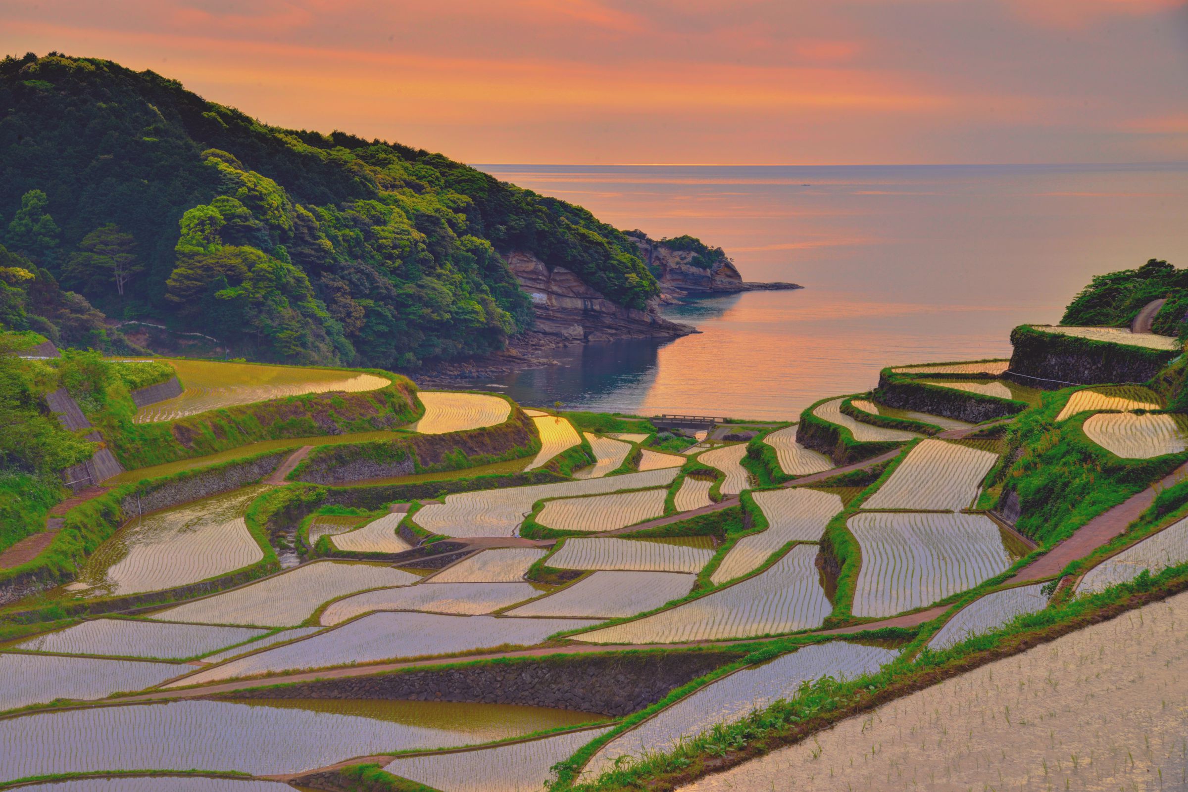 夕焼け空をうつして多彩に映える海辺の棚田 | GANREF