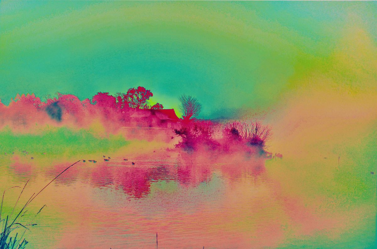 AF-S DX VR Zoom-Nikkor 18-200mm f/3.5-5.6G IF-EDで撮影された写真