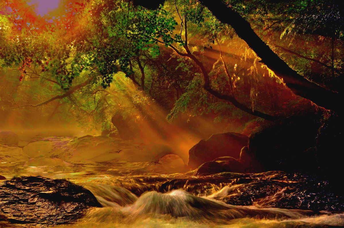 AF-S NIKKOR 28-300mm f/3.5-5.6G ED VRで撮影された写真 | 写真