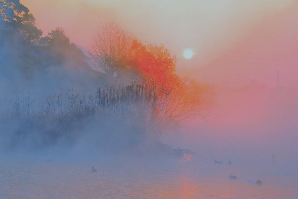 AF-S NIKKOR 28-300mm f/3.5-5.6G ED VRで撮影された写真 | 写真検索