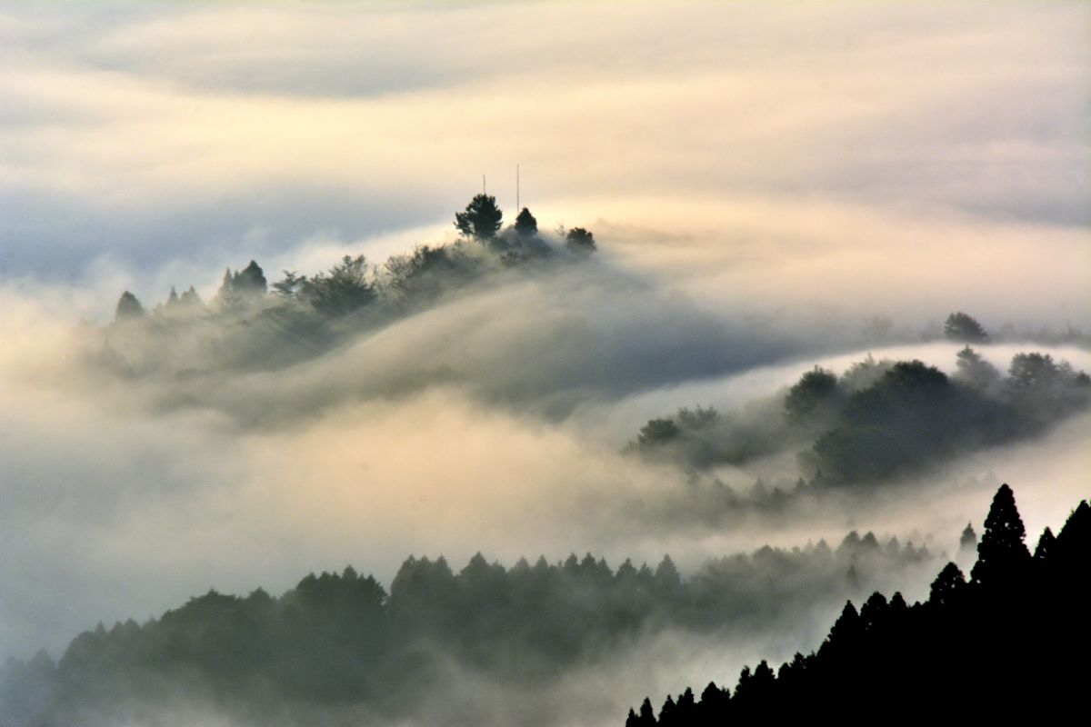 雲海流 自然 風景 その他 Ganref