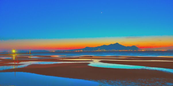 木炭デッサン風に仕上げてみた桜の花 植物 花 花びら Ganref