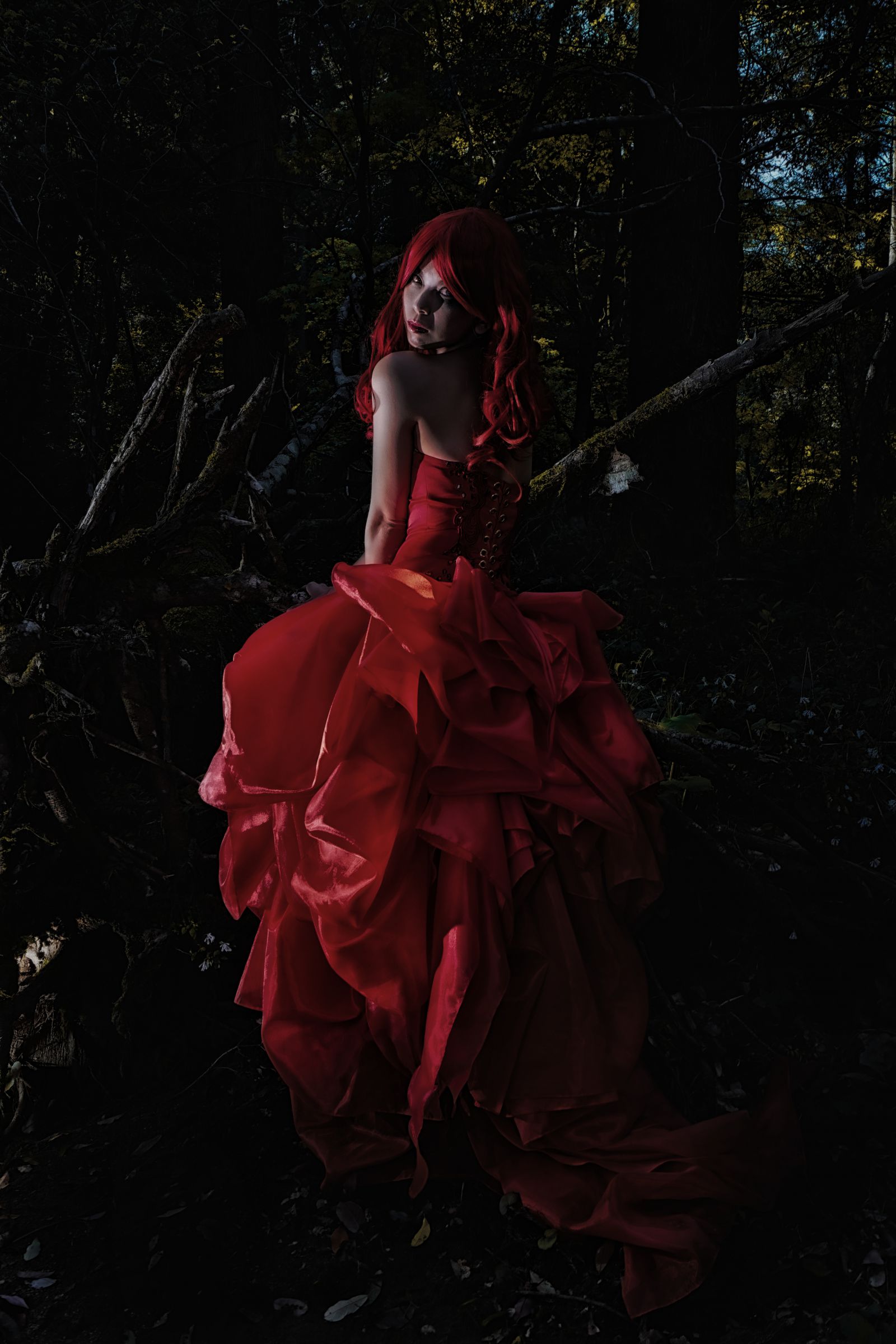 深淵の森 | GANREF