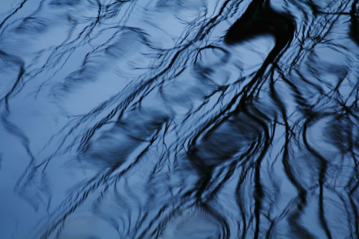 水の模様 自然 風景 湖沼 Ganref