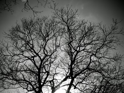 黄昏 ブロッコリーより Z/Xカードガチャ「ストーリーデッキ 神々の黄昏れ